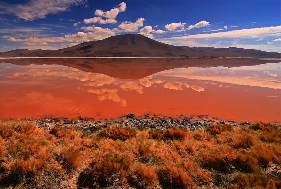 3-Day Salt Flats and Colored Lagoons Tour from Uyuni | GetYourGuide