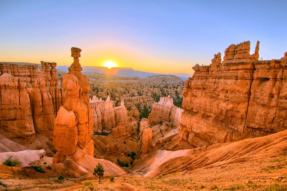 California Guided Tours