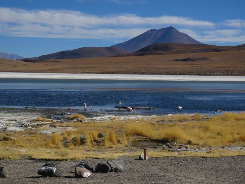 Atacama: Private 3-Day Uyuni Salt Flats Tour | GetYourGuide