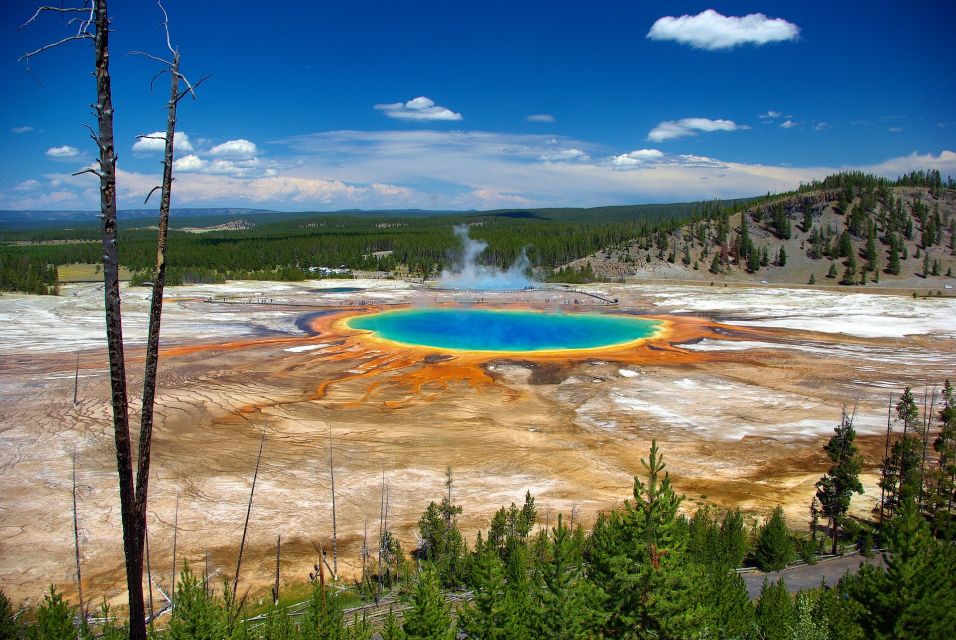From Jackson: Yellowstone Day Tour Including Entrance Fee | GetYourGuide