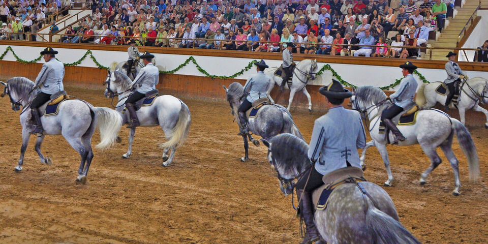 From Seville: Jerez, Cádiz and Andalusian Horses | GetYourGuide
