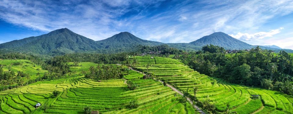 Jatiluwih Off-the-Beaten Path Trek with Lunch
