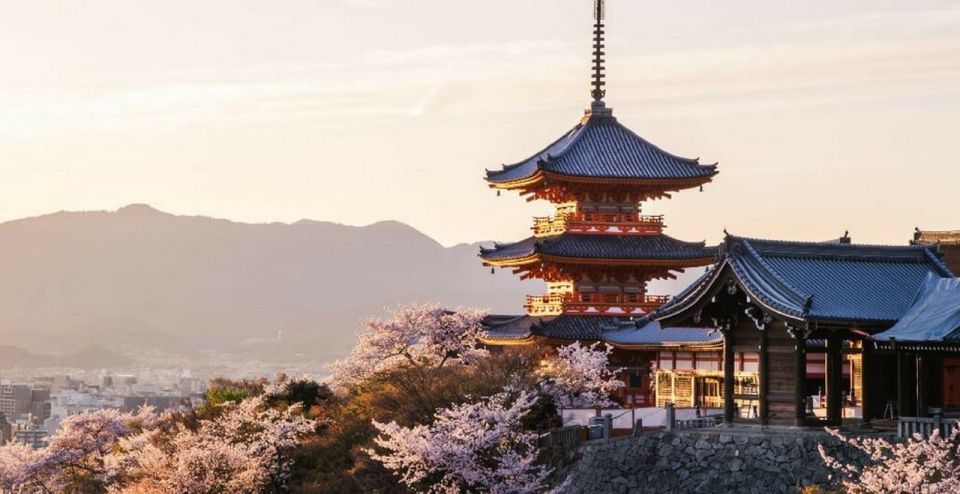 Kyoto: Family Friendly Personalized Tour