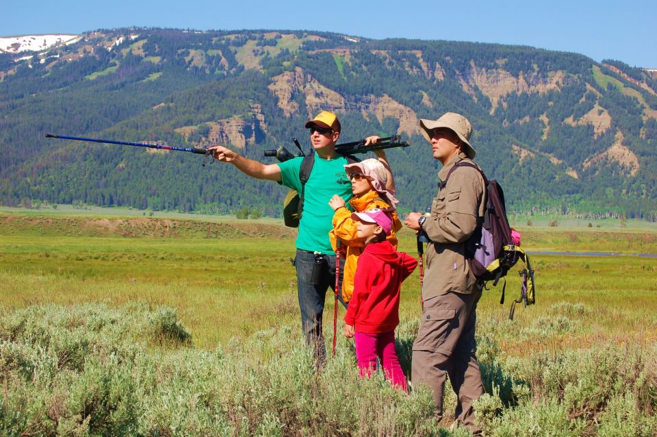 Lamar Valley: Safari Hiking Tour with Lunch | GetYourGuide