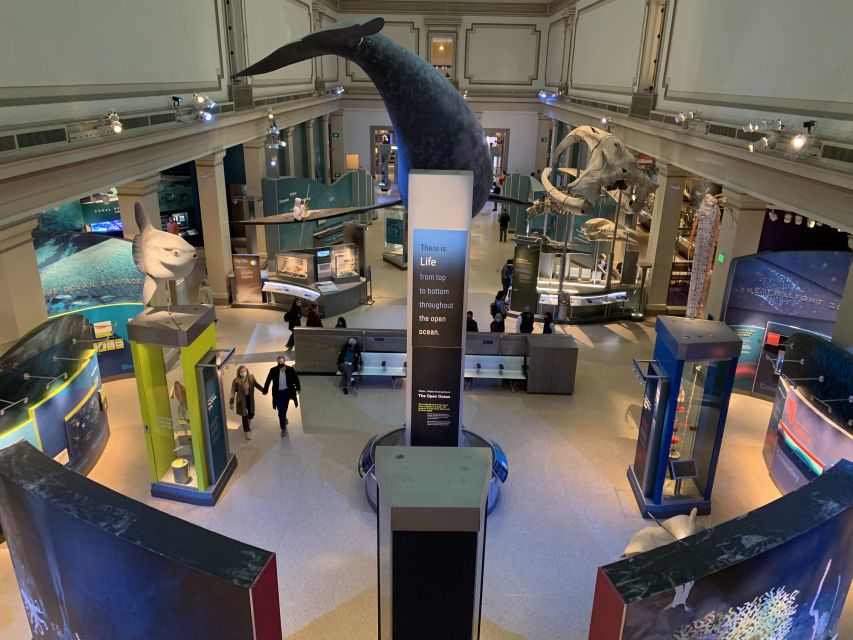 Smithsonian National Museum of Natural History Guided Tour | GetYourGuide