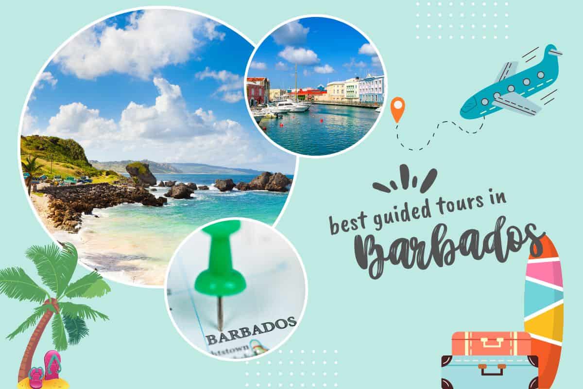 Best guided tours in Barbados