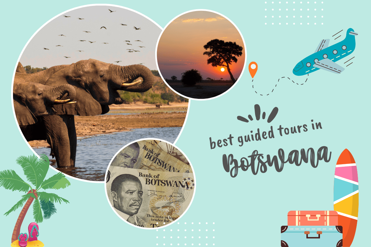 Best Guided Tours in Botswana
