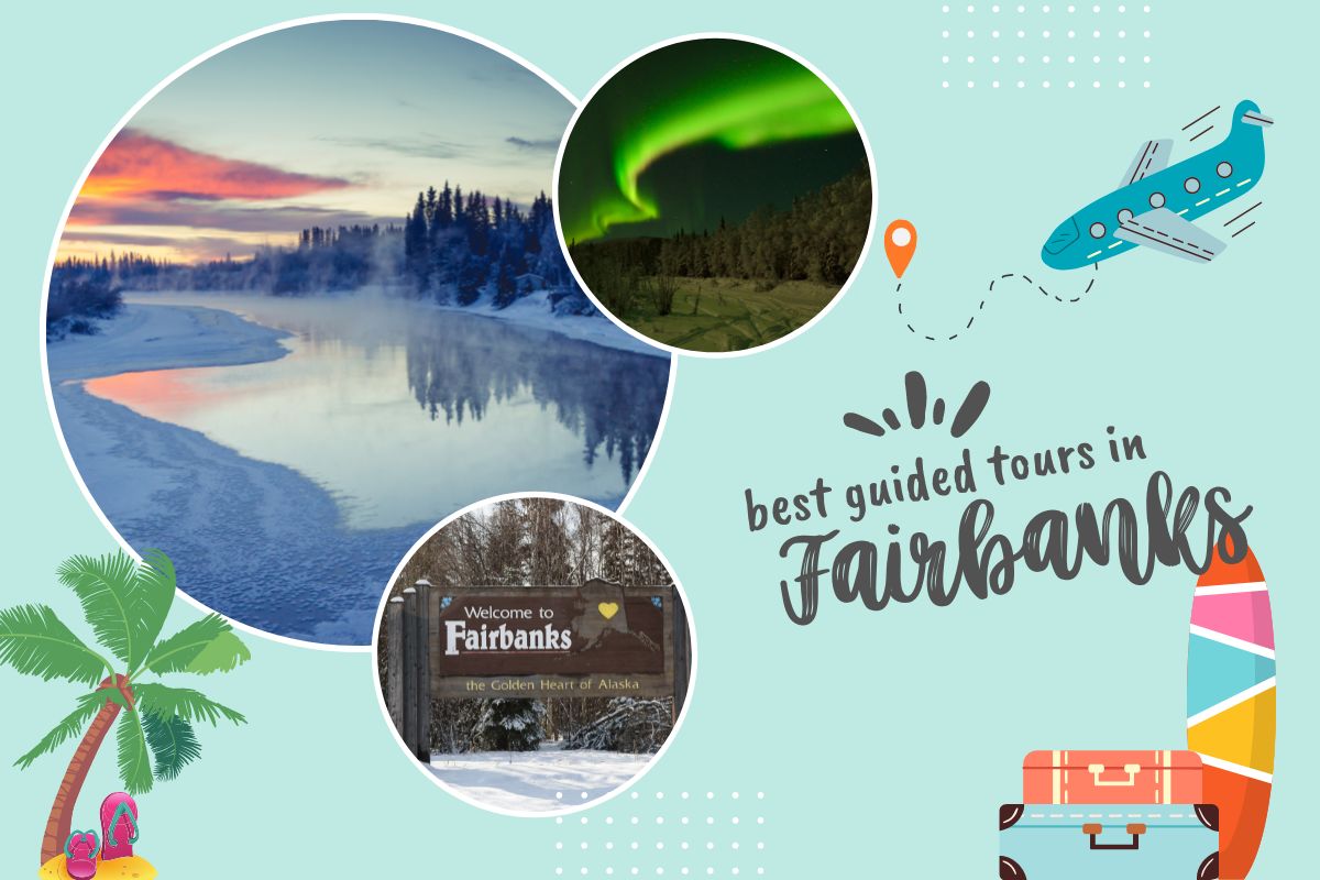 Best Guided Tours In Fairbanks