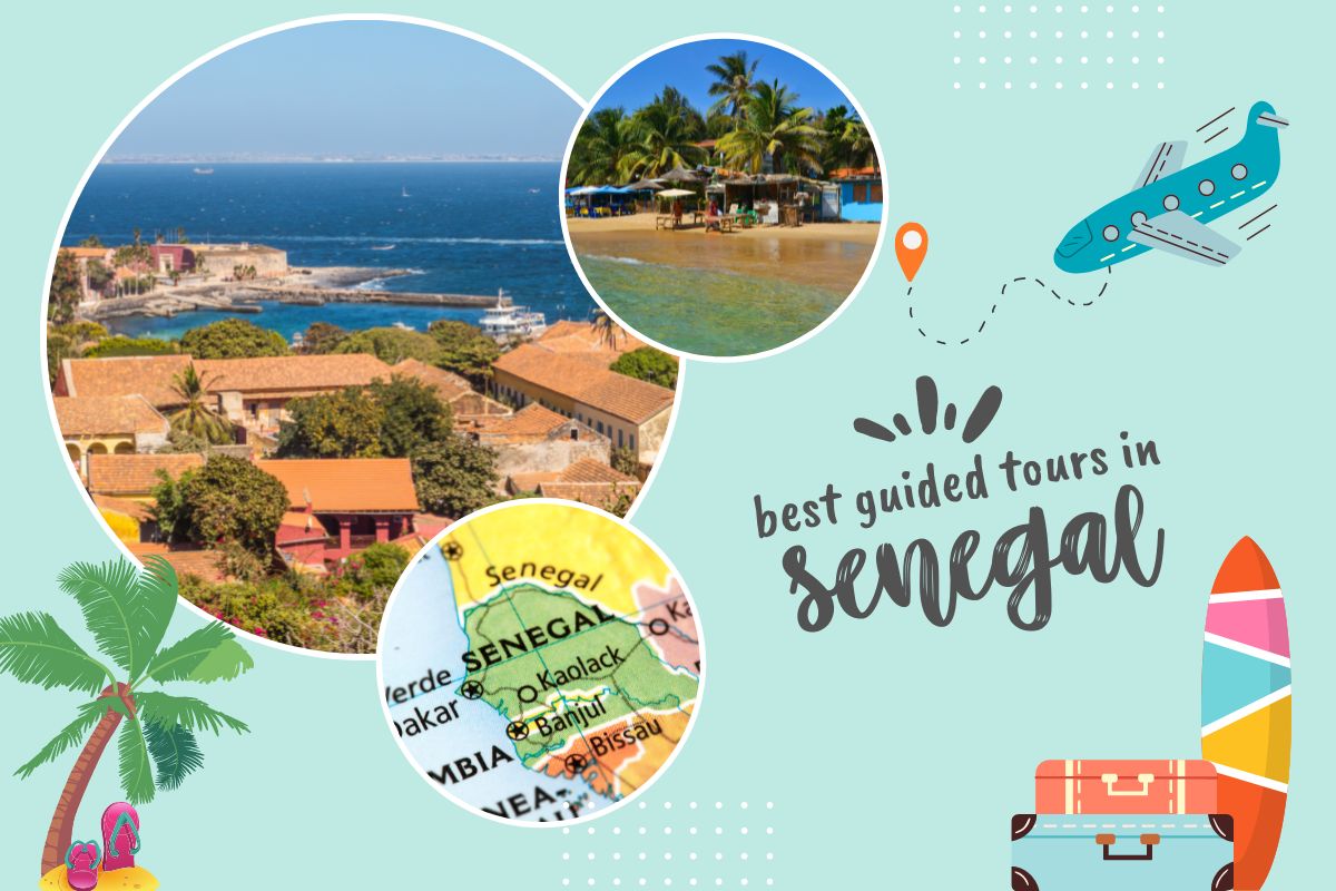 Best Guided Tours in Senegal