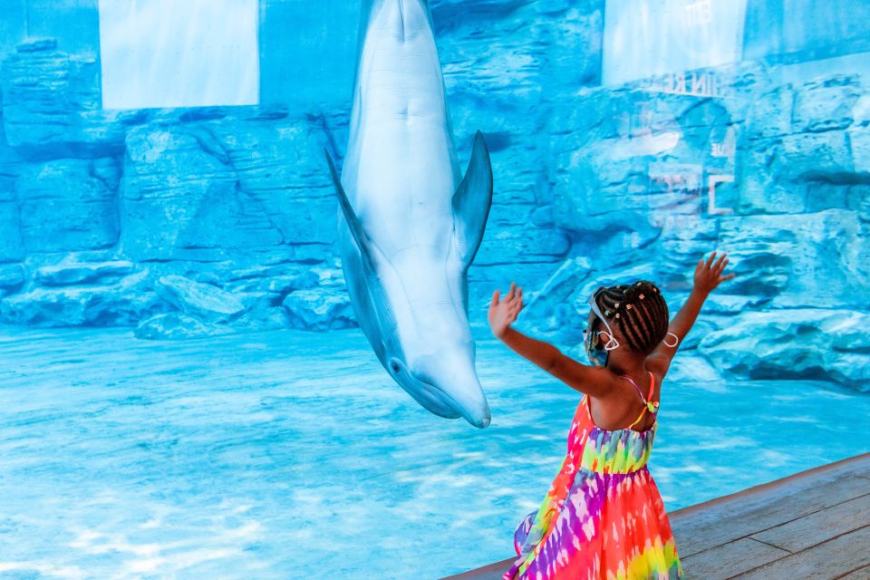Clearwater, Florida Guided Tours