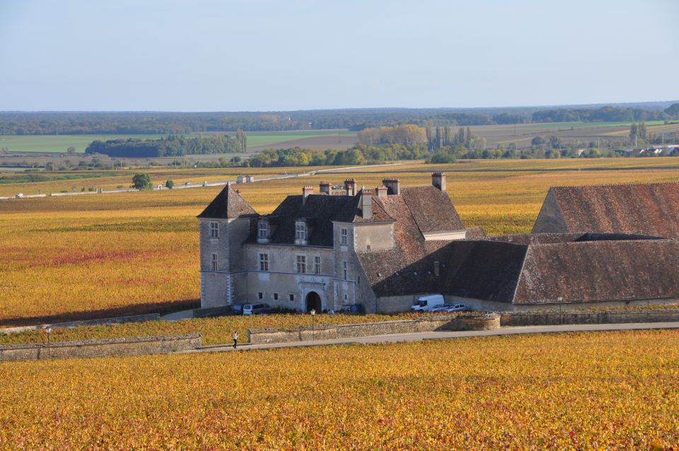Dijon Guided Tours