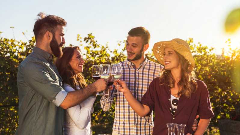 Camp Verde: Jeep Tour and Winery Tasting | GetYourGuide