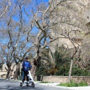 Rhodes: City Highlights and Medieval Town Trikke Tour | GetYourGuide