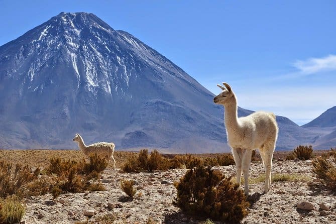 3 Days Tour Uyuni Salt Flats ending in San Pedro de Atacama Chile