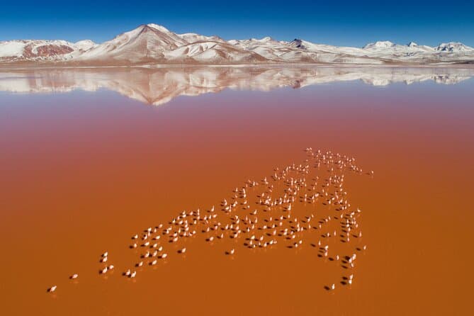 3-Days Tour to the Uyuni Salt Flats and Colored Lagoons