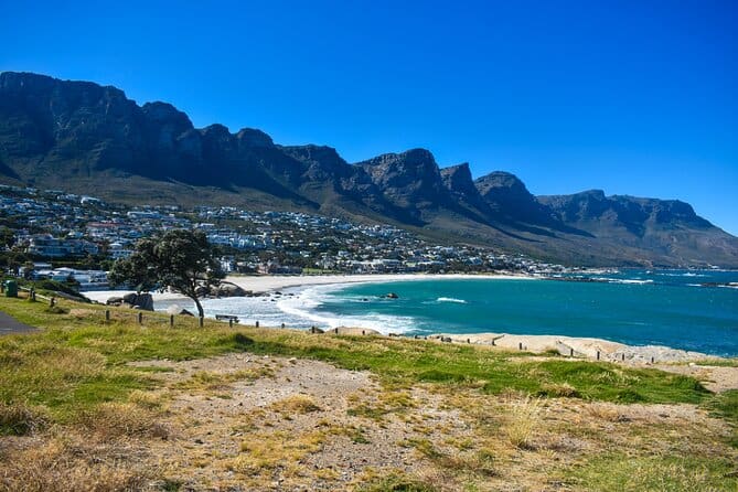 Cape of Good Hope and Penguins Full-Day Tour From Cape Town