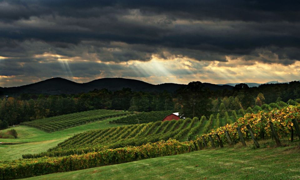 From Atlanta: North Georgia Wine Country Tour | GetYourGuide