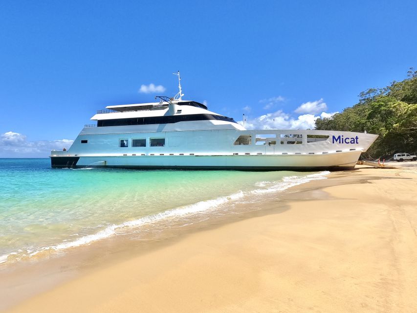 From Brisbane or Gold Coast: Moreton Island Full-Day Trip | GetYourGuide