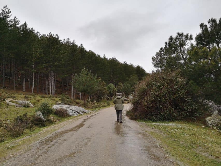From Madrid: Day Trip to Guadarrama National Park | GetYourGuide