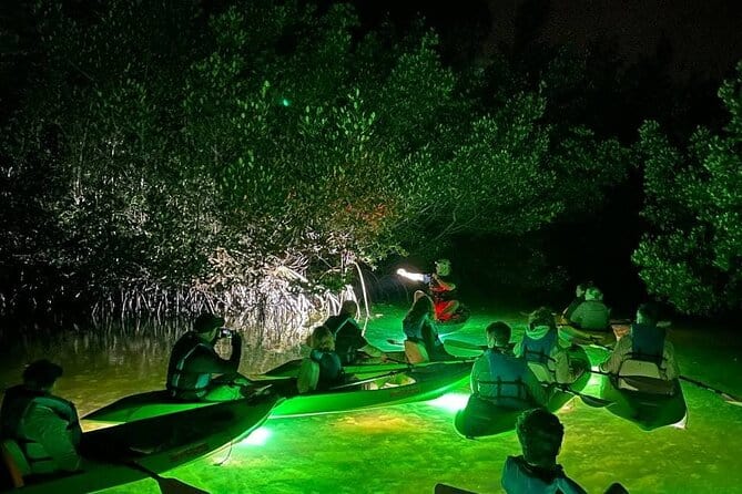 Sharkey's LED illuminated Night & Sunset Tour on Glass Bottom Kayaks in Sarasota
