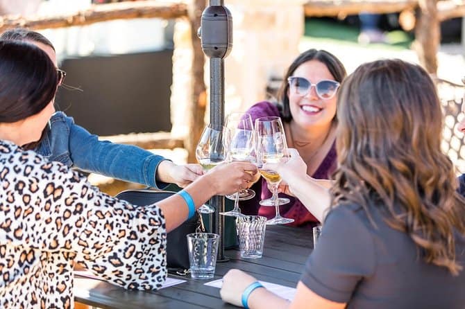 Half-Day Guided Tour of North Texas Wineries and Vineyards with Wine Tastings