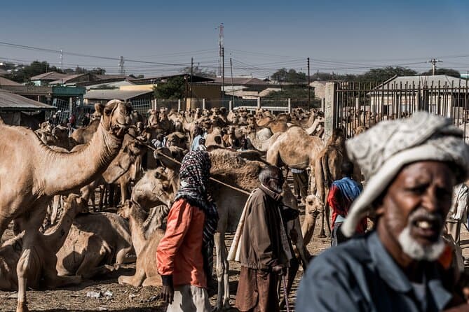 Somalia Guided Tours