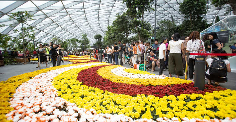 Jewel Changi Airport: Canopy Park Admission Ticket | GetYourGuide