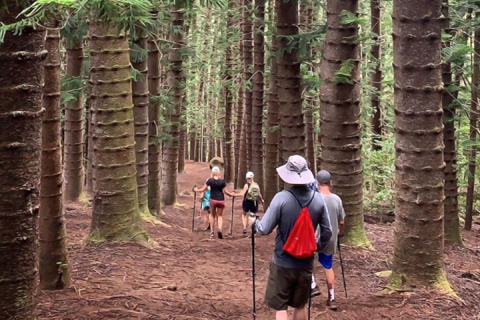 Kauai: Private Hike to Sleeping Giant with Waterfall Option | GetYourGuide