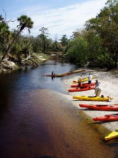 Kayaking the Econlockhatchee River: Day-Trip From Orlando | GetYourGuide