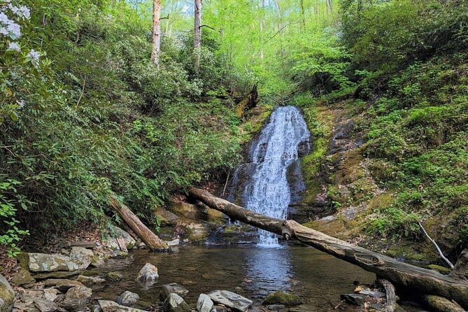 Moderate Waterfall and Nature Hike