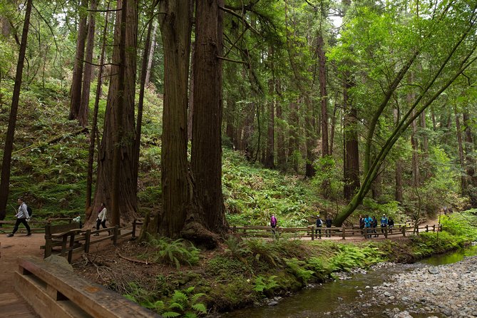 Muir Woods & Sausalito Half-Day Tour (Return by Bus or Ferry from Sausalito) 2022 - San Francisco