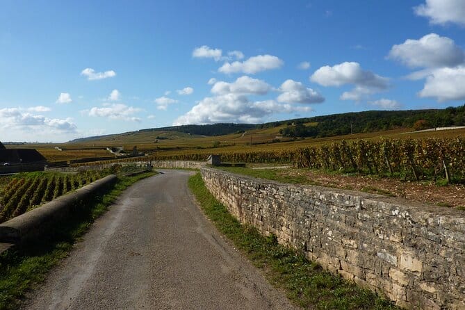 Private Full Day Tour Burgundy Gourmet