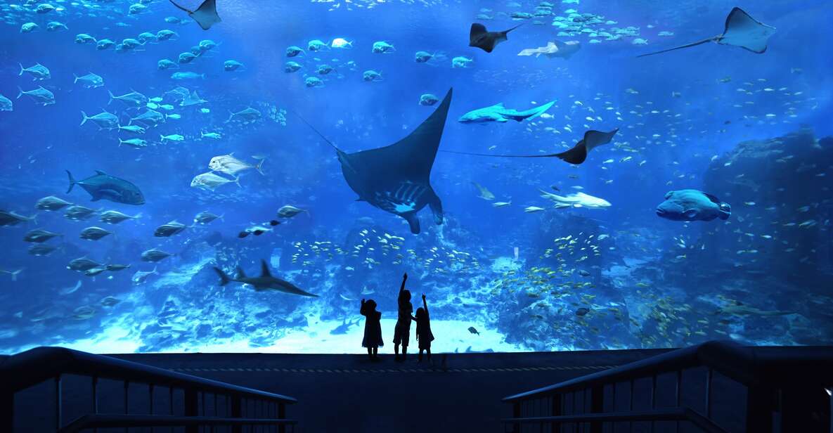 Singapore: S.E.A. Aquarium Entrance Ticket | GetYourGuide