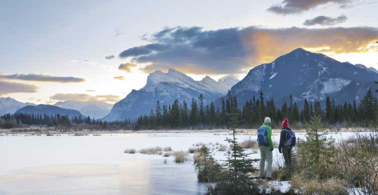 Banff: Nature Walking Tour | GetYourGuide