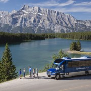 Banff: Wildlife and Sightseeing Minibus Tour | GetYourGuide