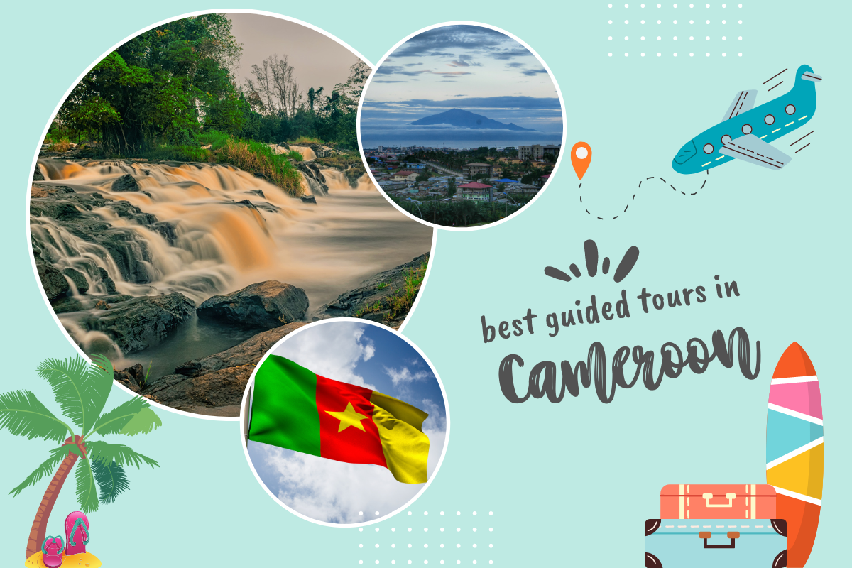 discover cameroon tours