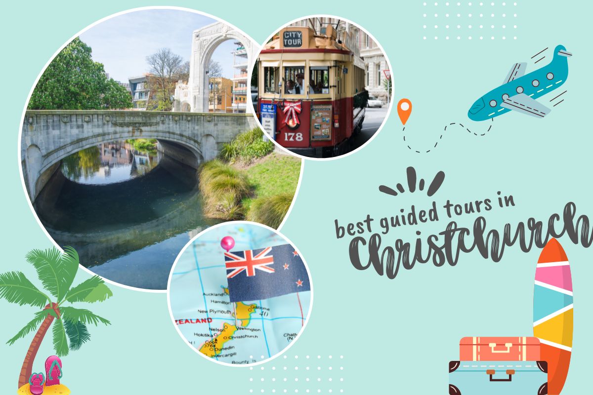 Best Guided Tours in Christchurch