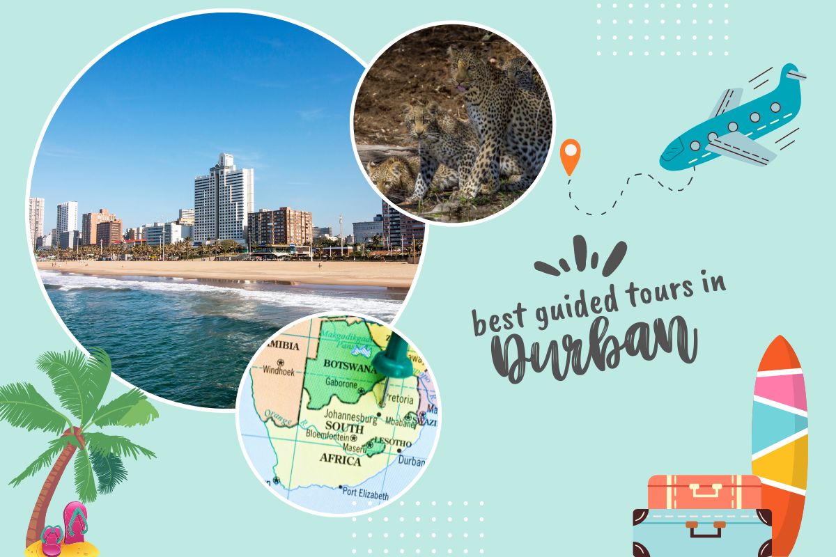 Best Guided Tours in Durban