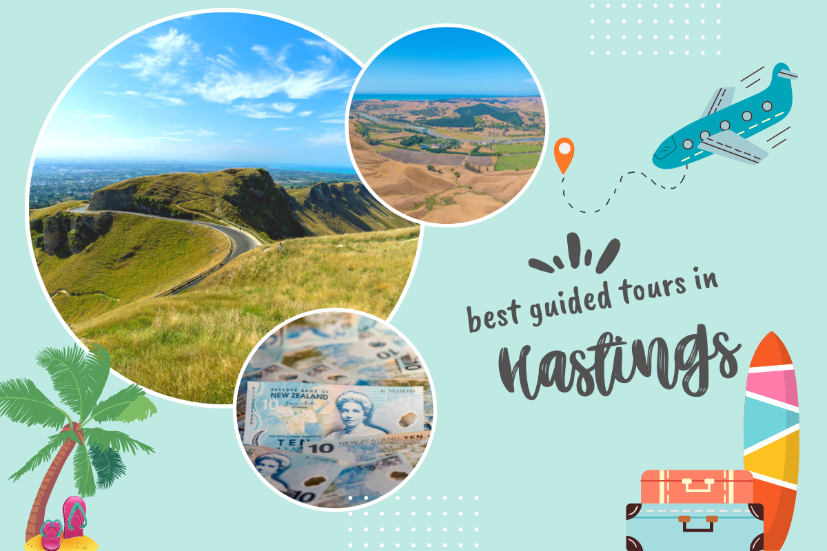 Best Guided Tours in Hasting, New Zealand