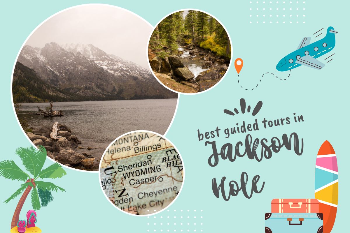 Best Guided Tours in Jackson Hole