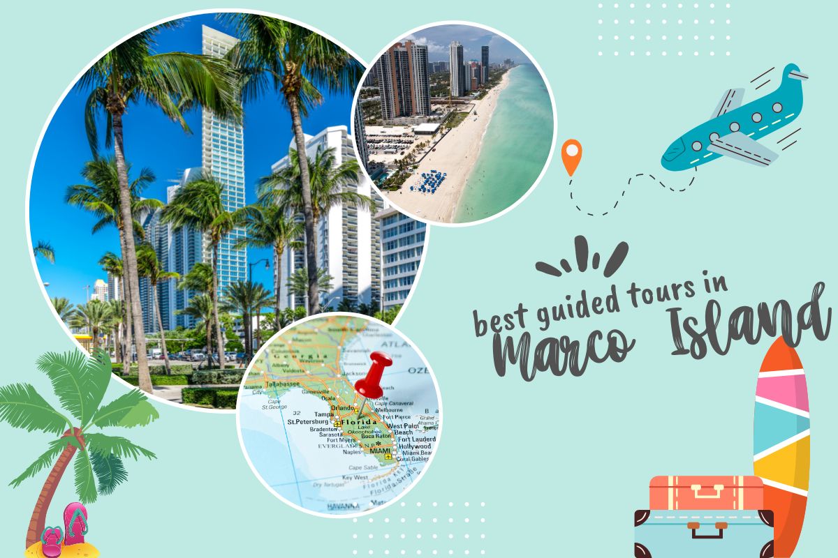 Best Guided Tours in Marco Island