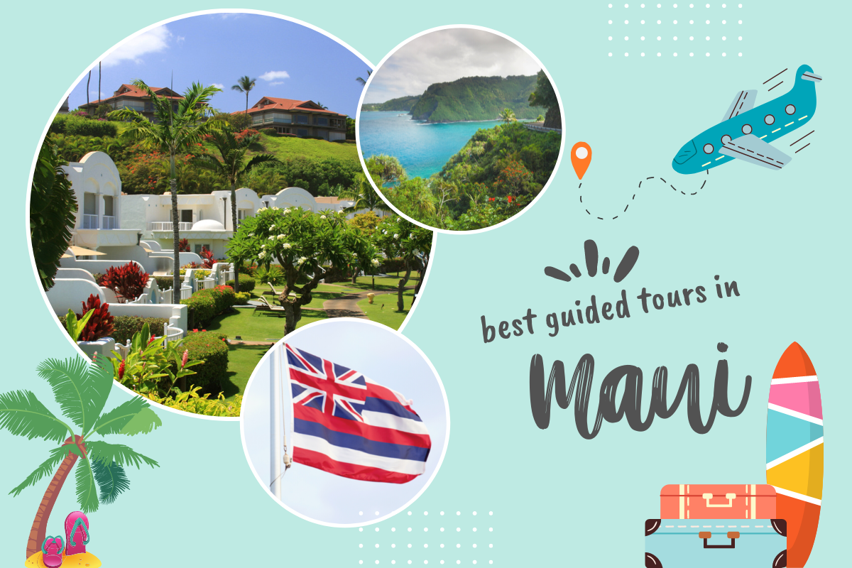 Best Guided Tours in Maui, Hawaii