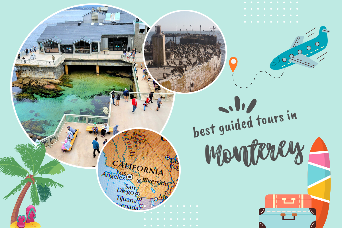 Best Guided Tours in Monterey, California