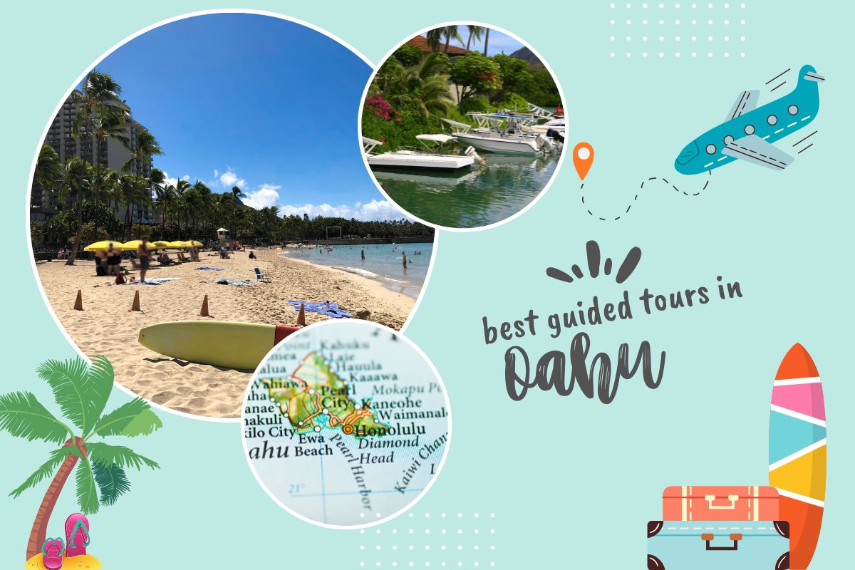 Best Guided Tours in Oahu