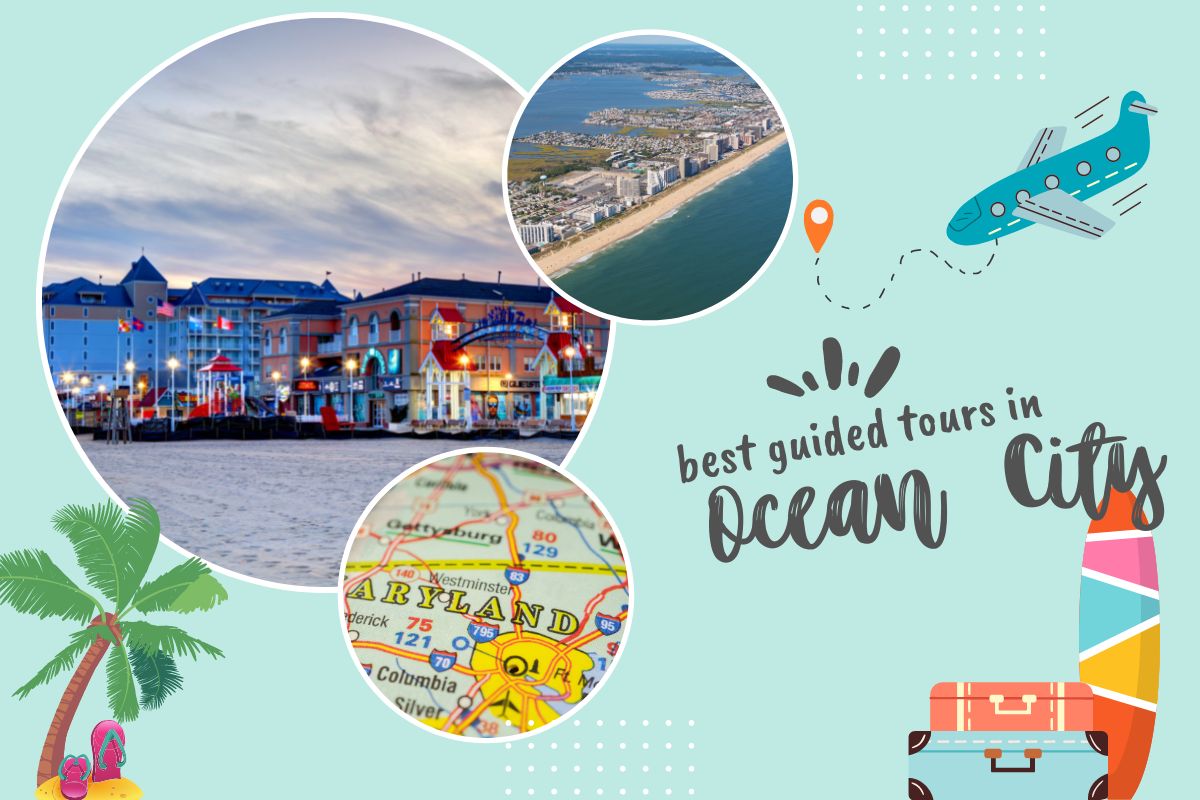 Best Guided Tours In Ocean City