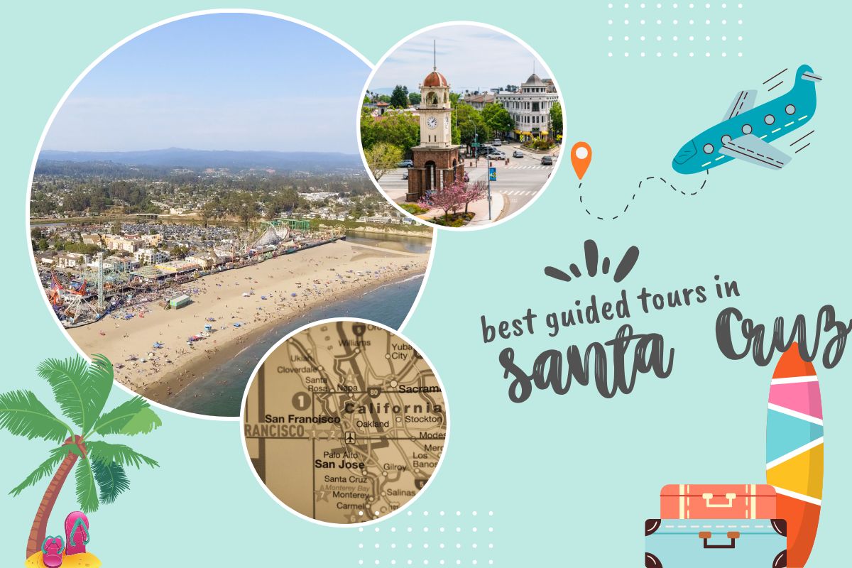Best Guided Tours in Santa Cruz