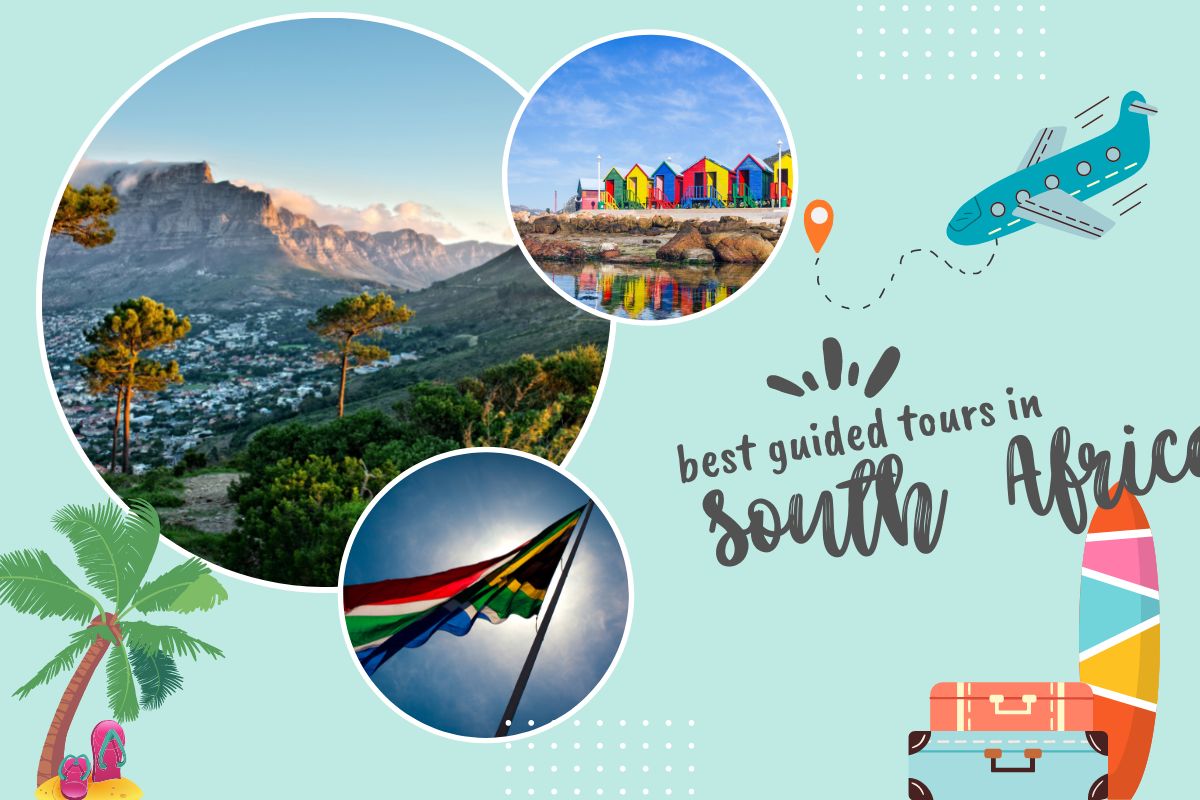 Best Guided Tours in South Africa