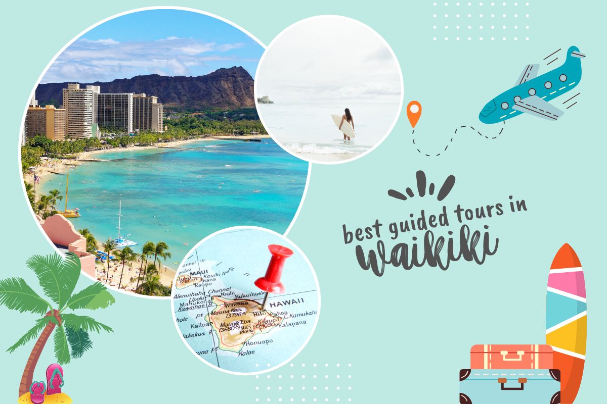 Best Guided Tours In Waikiki