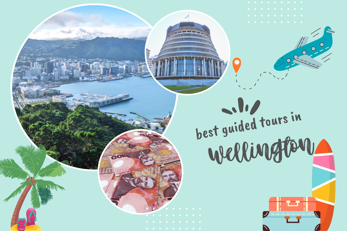 Best Guided Tours in Wellington, New Zealand