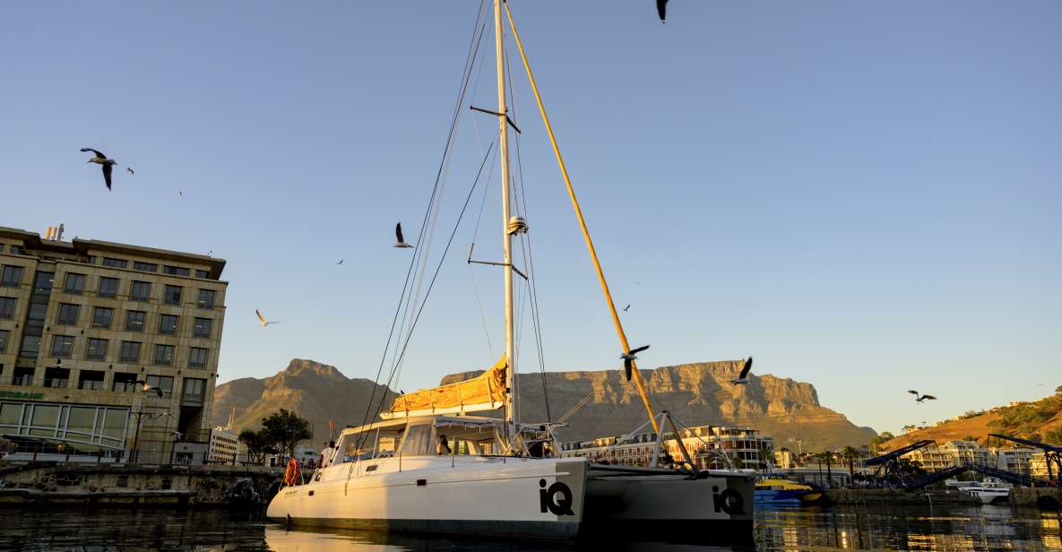 Cape Town: V&A Waterfront Champagne Cruise | GetYourGuide